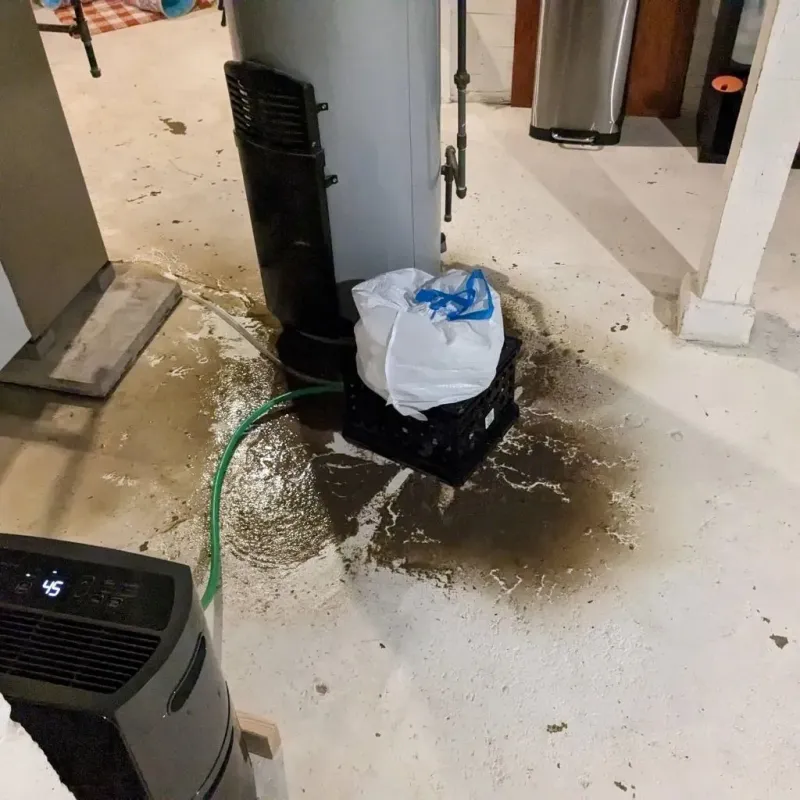 Sewage Backup Cleanup Service in Eclectic, AL